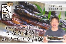 C-8  うなぎ蒲焼１尾とムツゴロウ蒲焼５尾入り