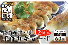 B-86　旨い！＼生活応援 たっぷり大容量／佐賀産牛 佐賀産豚の手作りギョーザ 【12ケ入り×5パック】‖合計60個 ‖ストック 夕食 家族 ボリューム 冷凍 餃子 ぎょうざ おかず おすすめ 美味しい リピーター 人気 佐賀県 鹿島市
