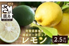 国産 オーガニックレモン 約2.5kg レモン 檸檬 B-91 