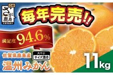 佐賀県鹿島産 温州みかん 約11kg みかん ミカン 蜜柑 柑橘 果物 フルーツ  甘い サイズ混合 小玉含む ふるさと納税 佐賀県 鹿島市 B-99 