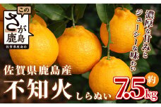 佐賀県鹿島産 不知火 しらぬい 約7.5kg サイズ混合 みかん 蜜柑 ミカン 柑橘 くだもの 果物 フルーツ 不知火みかん ふるさと納税 佐賀県 鹿島市 B-114