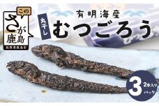 A-29  丸干しむつごろう【2本入り×3袋】 むつごろう ムツゴロウ おやつ おつまみ 温め不要 調理不要 有明海産 佐賀県 鹿島市 送料無料 