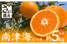 B-121 【希少な柑橘・期間限定】南津海（なつみ） 5kg