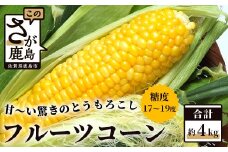 B-124 驚く甘さ！フルーツコーン　約４ｋｇ