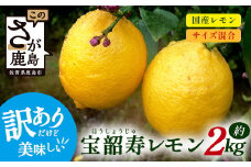 B-127  【訳アリ】希少な国産レモン【宝韶寿レモン】　約2kg（サイズ混合）【5月中旬より順次発送予定】柑橘 檸檬 ご自宅用 お菓子 料理 お酒 希少品種 佐賀県鹿島市 送料無料 
