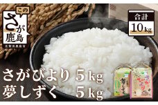 B-136 鈴山農園こだわりのお米２種セット（５ｋｇ×２種）さがびより・夢しずく