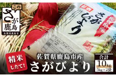 B-167 【精米したて!】令和6年産 さがびより １０kg（5kg×2袋）