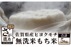 B-176【無洗米】令和5年産 ヒヨクモチ もち米 ５kg