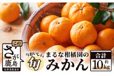  鹿島 まるな柑橘園のみかん 約10ｋｇ サイズ混合 【2025年9月下旬頃出荷開始予定】　みかん、旬柑、有明みかん、サイズ混合、美味しいみかん、お取り寄せ、有明海、潮風 みかん、家庭用、テーブルみかん、大小、旬柑、サイズ混合　B-177