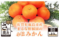 鹿島 まるな柑橘園の小粒みかん 約10kg 2025年9月下旬頃出荷開始予定 みかん 蜜柑 ミカン 柑橘 くだもの 果物 フルーツ ふるさと納税 佐賀県 鹿島市 A-64