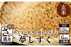 R-6 《6ヶ月毎月お届け》鹿島市産夢しずく　玄米２０ｋｇ定期便