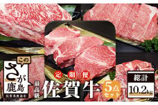 W-3 佐賀牛5点セット【全3回定期便お届け】総計10.2kg