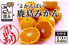 【訳あり】【数量限定】よかんばい 鹿島産 みかん 12kg 大中小 サイズ別 【11月中旬より順次配送予定】 ふるさと納税 みかん 蜜柑 柑橘 果物 フルーツ 果実 国産 佐賀県 鹿島市 ふるさと 人気 送料無料 B-250