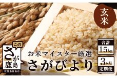 【定期便 3ヶ月】 佐賀県産 さがびより 玄米 5kg【3ヶ月連続 毎月お届け】 3回 D-64