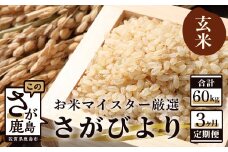 J-11 《3ヶ月毎月お届け》鹿島市産さがびより　玄米２０ｋｇ定期便
