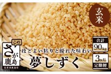 N-7 《3ヶ月毎月お届け》鹿島市産夢しずく　玄米３０ｋｇ定期便