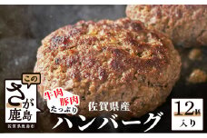 B-238  佐賀県産牛肉・豚肉たっぷりハンバーグ　１２個入り