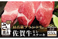 G-22 佐賀牛 ヒレ ステーキ 約550g【約180g ×3枚】佐賀牛 高級肉 佐賀牛 ステーキ ブランド牛 牛肉 国産 牛 ヒレ フィレ 佐賀県 鹿島市  人気