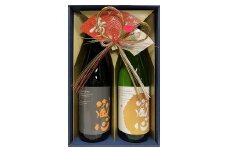 D-81 矢野酒造 肥前蔵心 秋冬セット(1,800ml×2本）