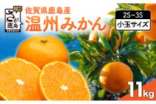 佐賀県鹿島産 温州みかん 小玉 約11kg【11月上旬頃から12月下旬頃の配送予定】 みかん 蜜柑 ミカン 柑橘 くだもの 果物 フルーツ ふるさと納税 佐賀県 鹿島市 B-279