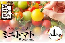 【先行予約】【2025年12月中旬から出荷】 たにぐちファーム カラフルミニトマト 約1kg 『Ricotomato とりこになるトマト』 B-280