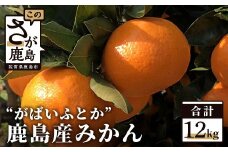 A-88 ”がばいふとか”鹿島産みかん 約12kg 大サイズ ご家庭用