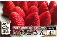 【先行予約】いちご 新ブランド 【いちごさん】 240ｇ×4パック 計960g  【2025年1月上旬～3月発送】 JA直送 鮮度抜群 佐賀県 鹿島市 B-291