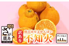 訳アリ 【お届け日の指定不可】 よかんばい 鹿島産 不知火 しらぬい 約11kg みかん 柑橘 箱込み 配送における傷み保証含む ふるさと納税 佐賀県 鹿島市 B-292