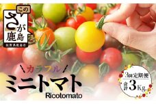【先行予約】 【2026年1月から出荷】カラフルミニトマト 『Ricotomato』 【1kg×4回定期便】  F-25