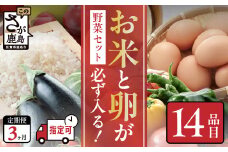 野菜 定期便 3ヶ月 お米も届く 肥前の国 農産物 大満足 定期便 3回 野菜 卵 米 果物 新鮮 セット 詰め合わせ 定期便 産地直送 肥前 ふるさと納税 佐賀県 鹿島市 E-61