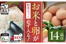 野菜定期便 6ヶ月 お米も届く 肥前の国 農産物 大満足 定期便 6回 野菜 卵 米 果物 新鮮 セット 詰め合わせ 定期便 産地直送 肥前 ふるさと納税 佐賀県 鹿島市 ふるさと納税 佐賀県 鹿島市 H-10