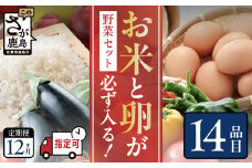 野菜定期便 12ヶ月 お米も届く 肥前の国 農産物 大満足 定期便  12回 野菜 卵 米 果物 新鮮 セット 詰め合わせ 定期便 産地直送 肥前 ふるさと納税 佐賀県 鹿島市 N-9