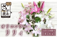 B-313 【生産者直送】幸せと笑顔を届けるオリエンタルリリィ