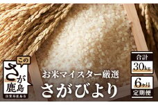 【定期便 6ヶ月】 佐賀県産 さがびより 白米 5kg《6ヶ月連続 毎月お届け》 6回 F-28