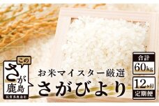 【定期便 12ヶ月】 佐賀県産 さがびより 白米 5kg 《12ヶ月連続 毎月お届け》 12回 K-4
