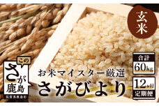 【定期便 12ヶ月】 佐賀県産 さがびより 玄米 5kg 《12ヶ月連続 毎月お届け》 12回 K-5