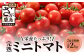 鹿島産　完熟ミニトマト【1kg×2回定期便】