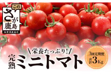 【先行予約】 【2026年1月から出荷】 完熟ミニトマト『Ricotomato』 【1kg×3回定期便】  E-68