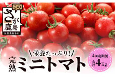 【先行予約】【2026年1月から出荷】 完熟ミニトマト『Ricotomato』 【1kg×4回定期便】  F-32
