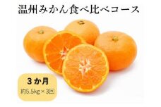 E-70 【先行予約】 平倉果樹園みかん食べ比べコース（毎月1回約5.5kg×３ヶ月お届け） ふるさと納税 みかん 定期 ミカン フルーツ 果物 くだもの 極早生 ゆら 早生 根域制限栽培 蜜柑 送料無料【10月～12月まで毎月下旬頃お届け予定】