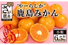 訳あり  ”やーらしか”鹿島産みかん 約6.5kg 小粒サイズ 2Sサイズ以下 みかん ミカン 蜜柑 柑橘 果物 フルーツ 甘い ご家庭用 ふるさと納税 佐賀県 鹿島市 AA-6