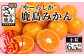みかんの皮に傷などがあり、外観は良くないですが、中身はおいしいみかんです