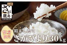 E-73 令和6年産 佐賀県産 さがびより 白米30kg お米マイスターセレクト！