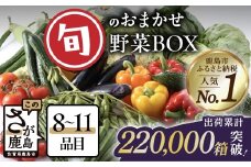 旬のおまかせ 野菜BOX 単品 【8~11品目】 野菜 フルーツ 果物 旬 セット 詰め合わせ ふるさと納税 佐賀県 鹿島市 AA-4