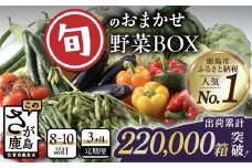【定期便3ヶ月】旬のおまかせ野菜BOX 定期便 詰め合わせ 8～10品目 【新鮮 採れたて 野菜  じゃがいも 人参 ほうれん草 ミニトマト 小松菜 タマネギ キュウリ 椎茸 など ふるさと納税 佐賀県 鹿島市】C-47