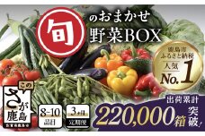 【定期便3ヶ月】旬のおまかせ野菜BOX 定期便 詰め合わせ 8～10品目 【新鮮 採れたて 野菜  じゃがいも 人参 ほうれん草 ミニトマト 小松菜 タマネギ キュウリ 椎茸 など ふるさと納税 佐賀県 鹿島市】C-47