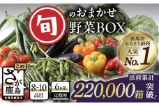 【累計出荷数No.1】佐賀県鹿島市産 旬のおまかせ 野菜BOX(8〜10品目) 定期便/全6回 農家直送 季節の新鮮 野菜 定期便 果物 セット じゃがいも きのこ トマト とうもろこし アスパラガス 玉ねぎ 蓮根 等 毎月お届け ふるさと納税 佐賀県 鹿島市　E-72