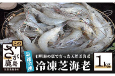 AA-9 冷凍芝エビ（真エビ）1kg【500g×2パック】ふるさと納税 えび 海老 芝海老 国産 佐賀県 鹿島市 ふるさと 安全 安心 新鮮 リピーター 満足 大自然 絶品 高レビュー 高評価人気