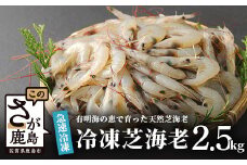 冷凍芝エビ 真エビ 2.5kg 500g × 5パック 芝海老 えび エビ 海老 真エビ 真海老 天然 海鮮 冷凍えび 海老のから揚げ ふるさと納税 佐賀県 鹿島市 B-357