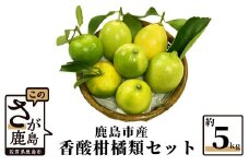 B-366 香酸柑橘類詰め合わせ 約５ｋｇ（リスボンレモン・キノス・げんこう）